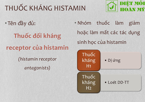 Bọ chét cắn bôi thuốc gì?