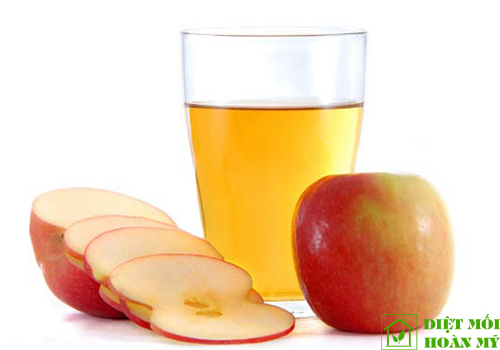 Bọ chét sợ gì?