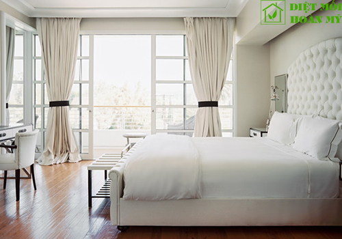 Cách diệt bọ chét trên giường