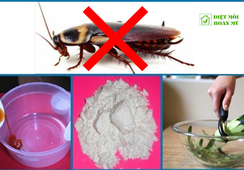 Cách diệt gián dân gian