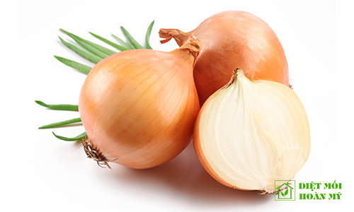 Chống gián trong tủ quần áo 1