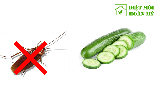 Chống gián vào nhà