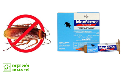 Thuốc diệt gián có độc không?