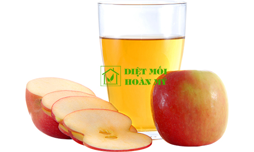 Cách đuổi chuột đi