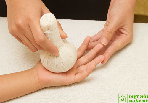 Cách trị rệp giường cắn