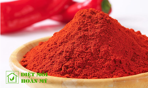 Diệt chuột bằng cách nào hiệu quả 1