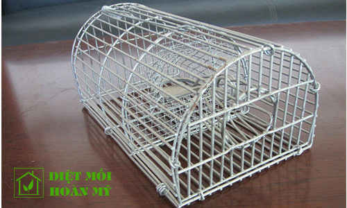 Diệt chuột bằng cách nào hiệu quả 2