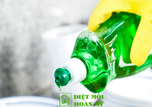 Diệt chuột bằng nước rửa bát