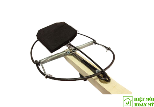 Diệt chuột không cần mồi