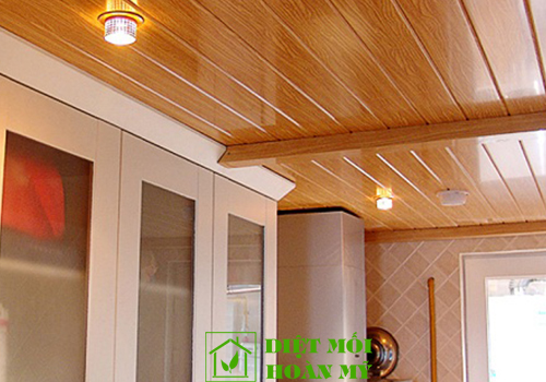 Diệt chuột trên trần nhà