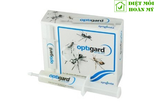 Diệt kiến hôi trong nhà