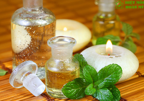 Mẹo đuổi chuột ra khỏi phòng