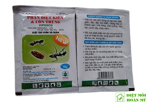 Cách diệt kiến ba khoang hiệu quả