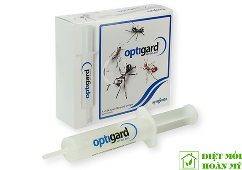 Cách diệt kiến tận gốc tại nhà