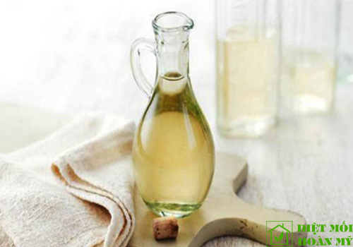 Cách đuổi kiến ra khỏi tủ quần áo