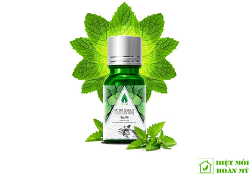 Diệt kiến bằng phương pháp dân gian