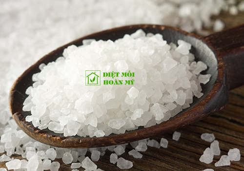 Diệt kiến không dùng thuốc