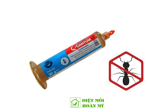 Diệt kiến trong nhà hiệu quả