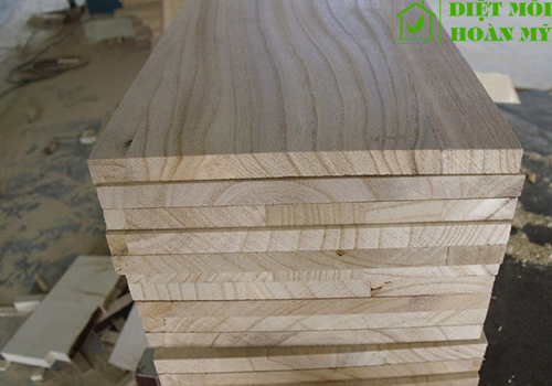 Đặc điểm gỗ dổi là gì?