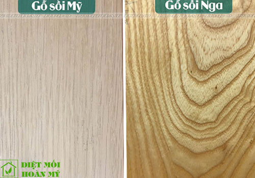 So sánh gỗ Sồi Nga và Sồi Mỹ