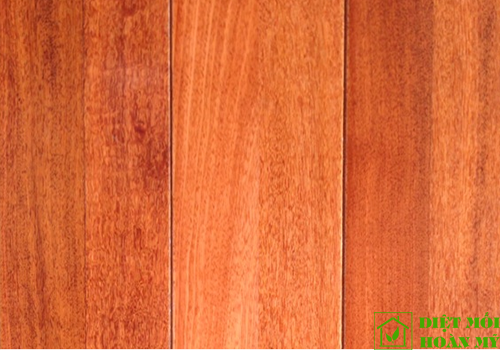 So sánh gỗ Xoan đào và Căm xe