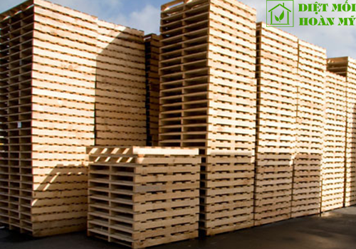 Sử dụng gỗ keo để làm gì?