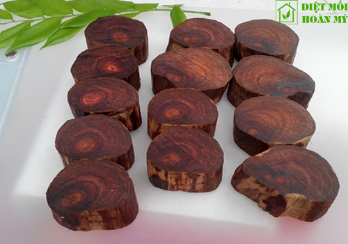 Sử dụng gỗ Sưa để làm gì?