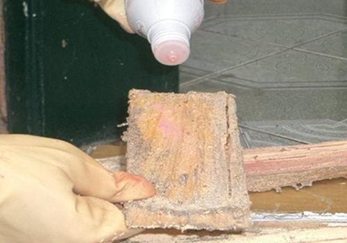 Chống mọt cho gỗ