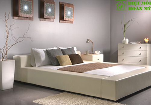 Cách diệt bọ chét trên giường