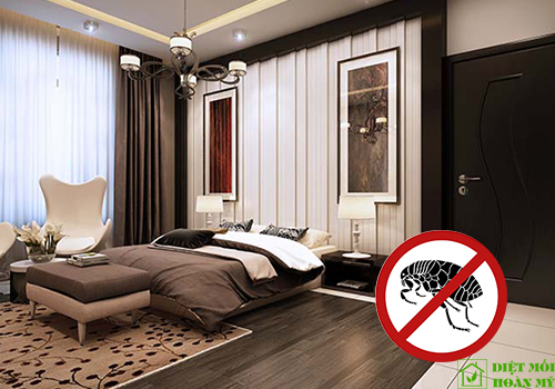 Cách diệt bọ chét trong phòng