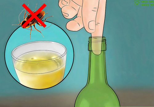 Cách diệt gián dân gian