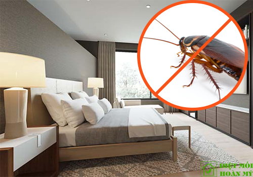 Cách diệt gián trong phòng ngủ