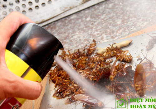 Thuốc xịt gián có hại không?