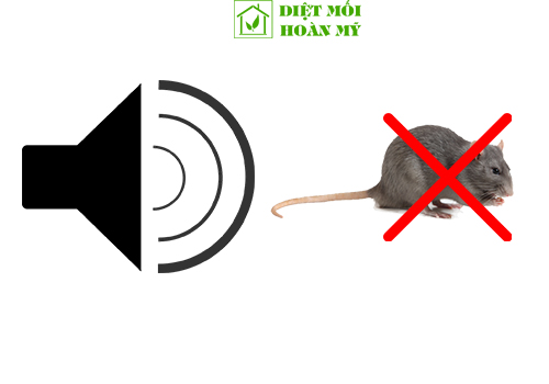 Âm thanh xua đuổi chuột
