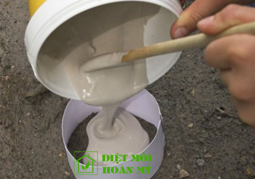 Cách diệt chuột bằng xi măng