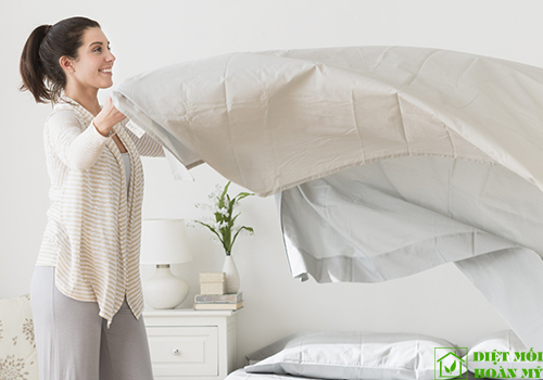 Cách diệt rệp giường hiệu quả