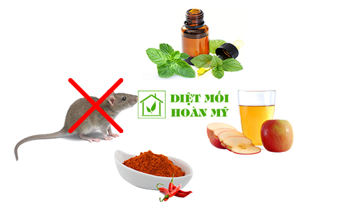 Cách đuổi chuột đi