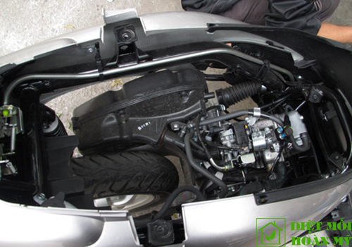 Cách phòng chống chuột cắn dây điện xe máy