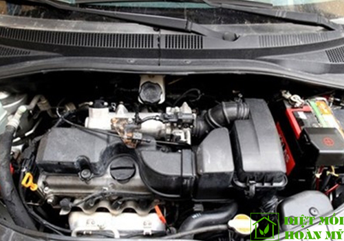 Cách phòng chuột cắn dây điện