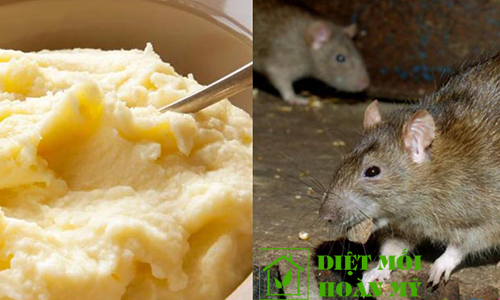 Diệt chuột bằng khoai tây