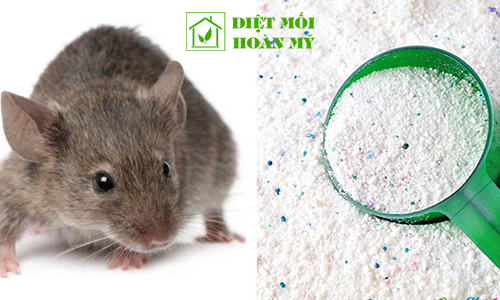 Diệt chuột bằng xà phòng