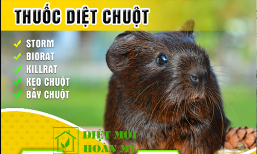 Thuốc diệt chuột an toàn cho người