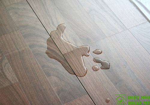 Các loại gỗ tự nhiên chịu nước tốt