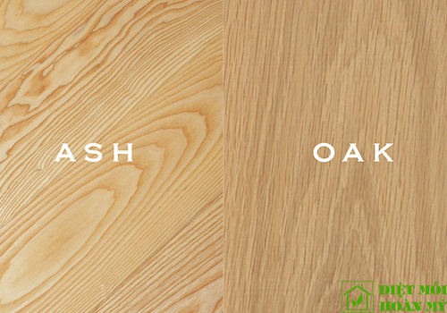 Đặc điểm gỗ sồi là gì?