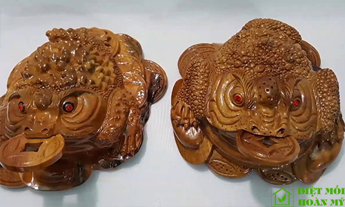 Cách bảo quản gỗ xá xị hợp lý