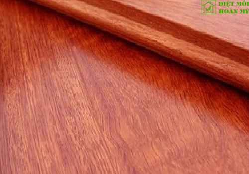 Đặc điểm gỗ Giáng hương là gì?