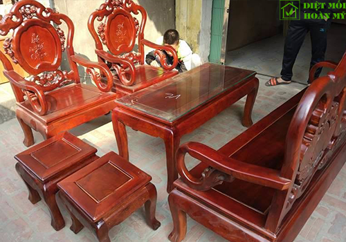 Đặc điểm gỗ nhãn là gì?