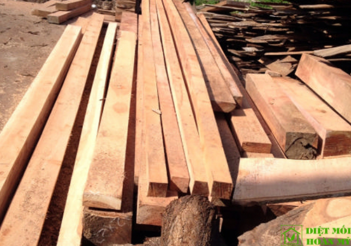 Gỗ Dầu dùng làm gì?