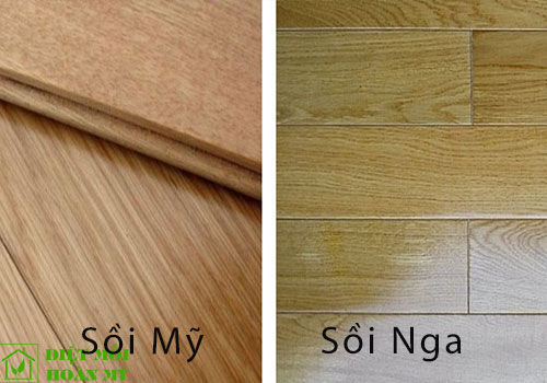 So sánh gỗ Sồi Nga và Sồi Mỹ