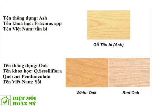 So sánh gỗ Sồi và Tần bì